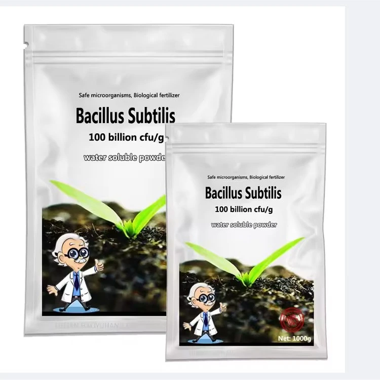 Microbial Biotechnology Bacillus Subtilis Enhance Soil Fertility Pesticides For Agriculture