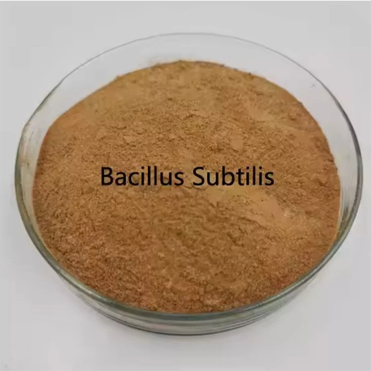 Microbial Biotechnology Bacillus Subtilis Enhance Soil Fertility Pesticides For Agriculture